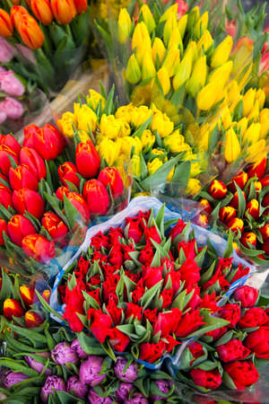 Assortment of bouquets of colorful tulips in a street marketの写真素材
