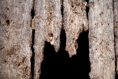 Fragment of rotten antique doorの写真素材