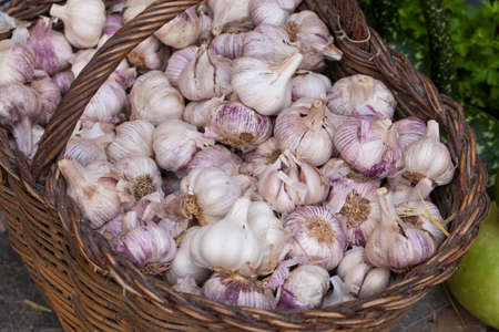 Fresh garlic in a street marketの写真素材
