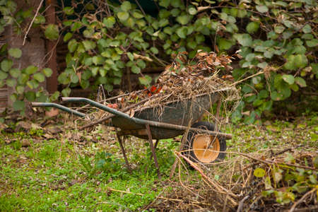 Old rusty wheelbarrow in a autumn gardenの写真素材