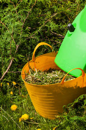 Electric garden shredder in a spring gardenの写真素材