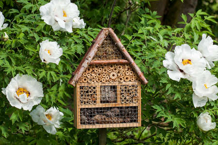 Insect hotel in a summer gardenの写真素材