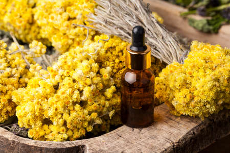 Dwarf everlast (Helichrysum arenarium) flowers and aroma oilの写真素材