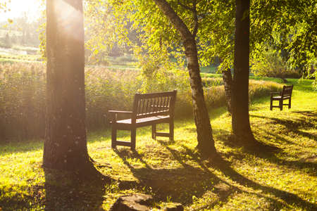 Park bench in the autumn evening parkの写真素材