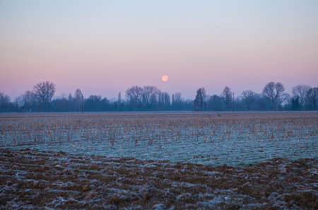 Frosty, foggy morning. Sunrise on the fields near Pavia, Italyの写真素材