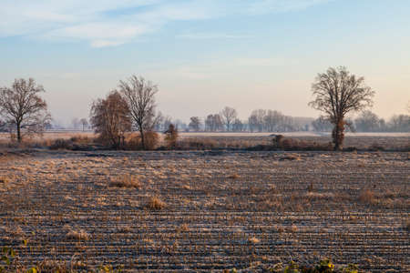 Frosty, foggy morning. Sunrise on the fields near Pavia, Italyの写真素材