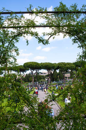 ROME, ITALY- 22 APRIL, 2017: Rose Garden in Rome, Italy. Beautiful Municipal Rose Garden is a public garden in Rome, located on  Aventine Hill in Rome.のeditorial素材