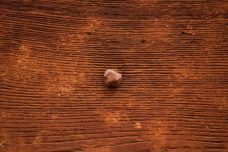 Antique wooden door in Rome, Italy. Background texture.の写真素材