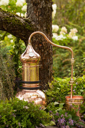 Alembic is a distilling apparatus of Arabic origin which may be used to distill essential oils and a variety of alcoholic beverages.の写真素材