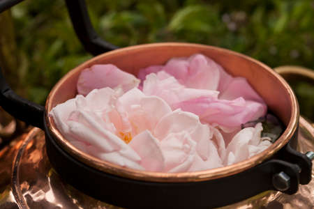 Alembic is a distilling apparatus of Arabic origin which may be used to distill essential oils and a variety of alcoholic beverages.の写真素材