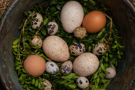 Vintage chicken,turkey  and quail eggs in a copper bowl. Easter concept.の写真素材