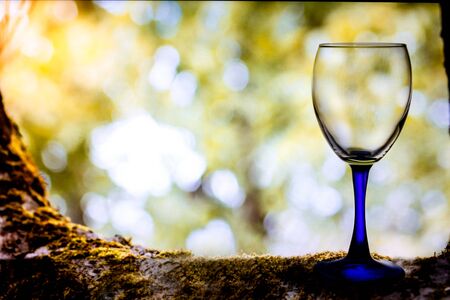 Crystal glass for wine on a beautiful backgroundの写真素材
