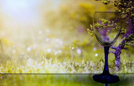 Crystal glass for wine on a beautiful background