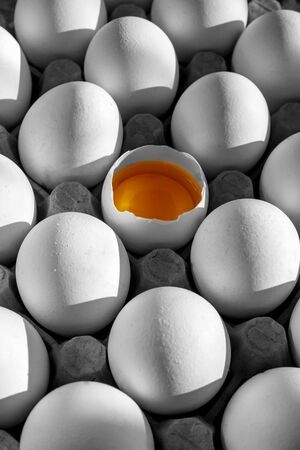Chicken homemade eggs in a cartonの写真素材