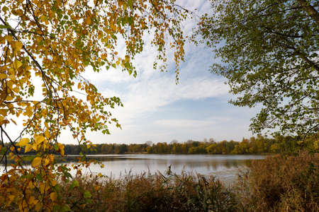 Trees and grass by the lake on an autumn day