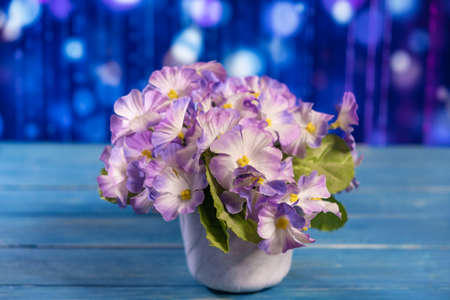 Blue flowers in a pot on a wooden tableの写真素材