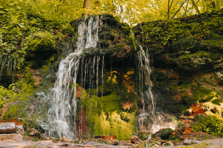 A small, tranquil waterfall lies in a lush, green forestの写真素材