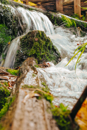 A picturesque forest waterfall features a log prominently in the foregroundの写真素材