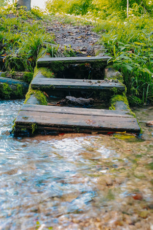 A wooden bridge gracefully spanning a stream in the woodsの写真素材
