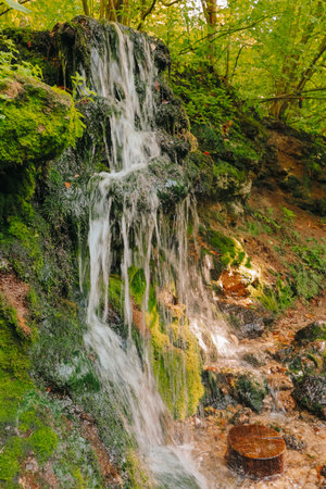 There is a small but beautiful waterfall located in the middle of a forest