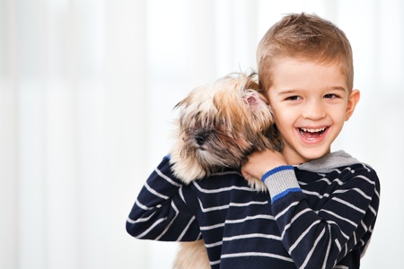 child playing with his dog in the living roomの写真素材