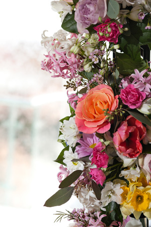 Beautiful colored flower arrangement with light backgroundの写真素材