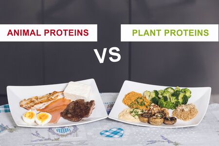 animal versus plant proteins: one plate with beef, eggs, salmon, cheese and chicken grill and another with nuts, mushrooms, broccoli, lentil, hummus and quinoaの写真素材