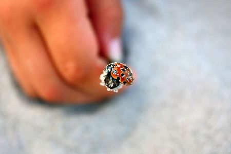 sandy ladybird on stickの写真素材