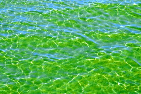 pure green water in seaの写真素材