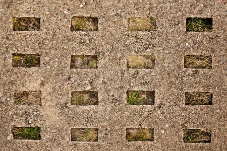 old concrete road slab with plantsの写真素材