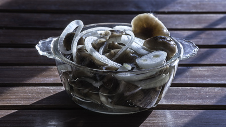 Pickles. Marinated mushrooms.の写真素材