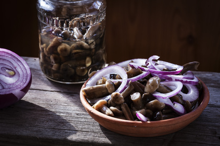 Pickles. Marinated mushrooms.の写真素材