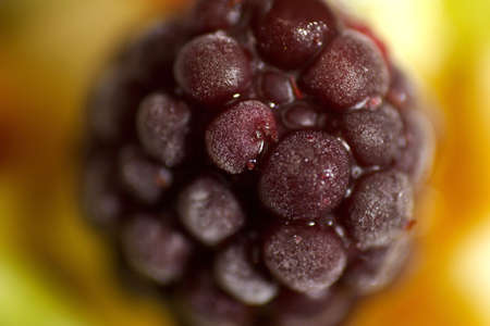 colorful close up photo of blueberry fruit saladの写真素材