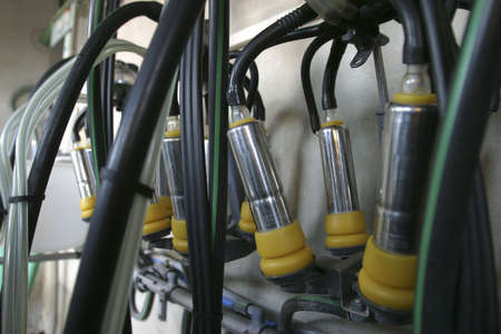 new suction Milking Machines installed on farmの写真素材