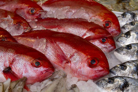 fresh fish on iceの写真素材