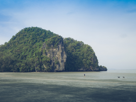 Island, sand and sea, green trees with beautiful blue sea and beautiful sandy beach.の写真素材