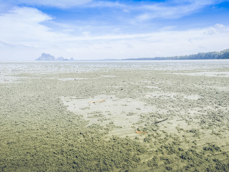 Island, sand and sea, green trees with beautiful blue sea and beautiful sandy beach.