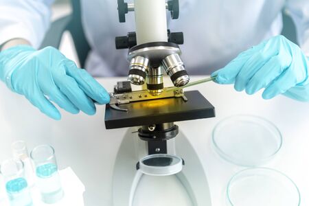 Doctors researched microscope slides under the monocular microscope. Close Up of the test sample under the monocular microscope in the laboratory. Experiment equipment on the table.の写真素材