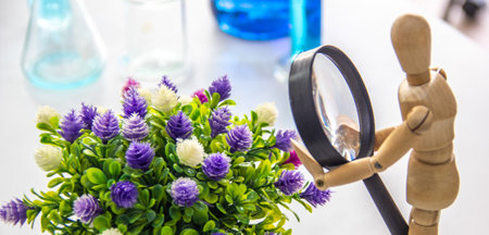 Purple and white flowers in the pot, wooden man is watching flowers with magifying glass, flowers and wooden man with the laboratory equipment background, wooden man holding item on white background.の写真素材