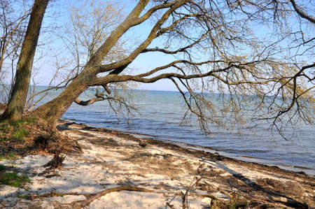 Baltic beach, Rewa, Polandの写真素材
