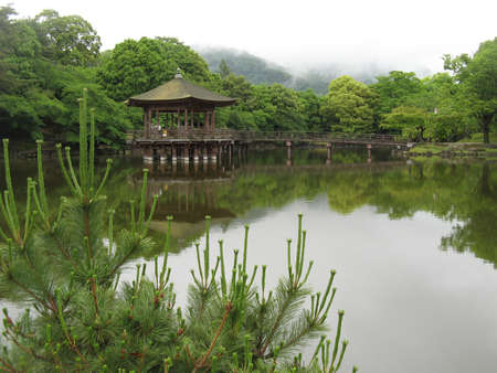 Japanese Gardenの写真素材