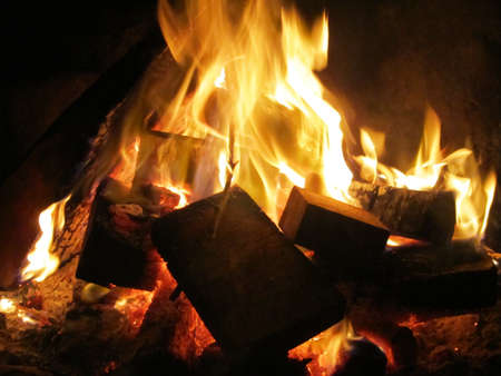 Campfire burningの写真素材