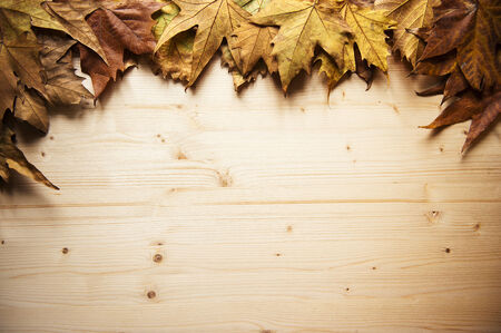autumn frameの写真素材