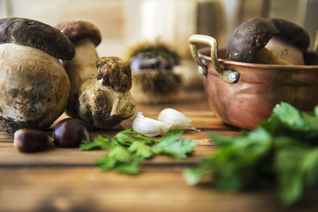 boletus mushroomsの写真素材