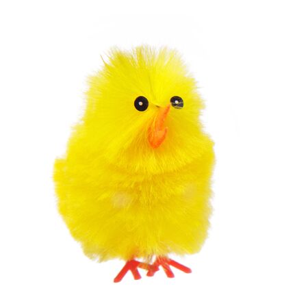Yellow decorative easter chicken isolated on white background  の写真素材