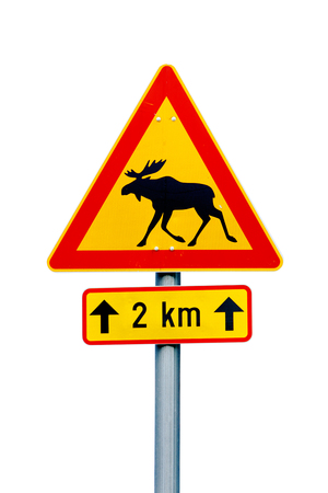 Finnish moose warning road sign on white background. Additional pannel indicates danger for the next 2 km.の写真素材