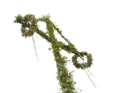 Top of a common green traditional Swedish maypole, used for the midsummer eve celebrations.の写真素材