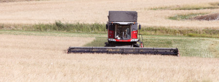 Morko, Sweden - July 10, 2018: Red combine harvester Massey Ferguson 9380 Delta harvests grain.のeditorial素材