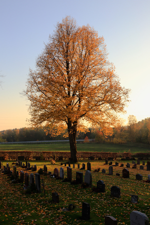 Autumn season at the cementary.の写真素材