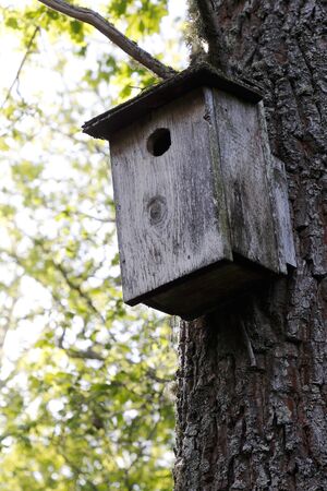 Low angle view of a wooden nesting boxの写真素材